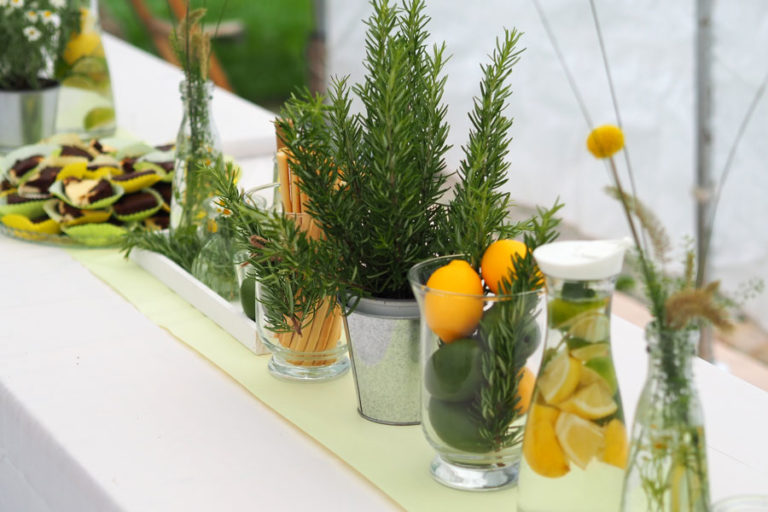 Lemon Party